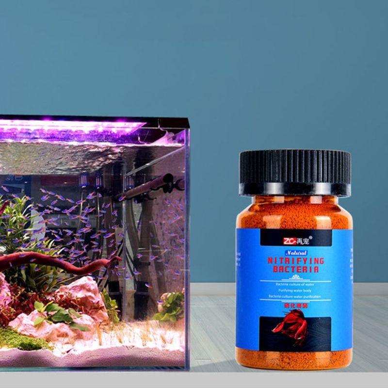 Nitrifying Bacterias Concentrated Powder for Ornamental Fish Improve ...